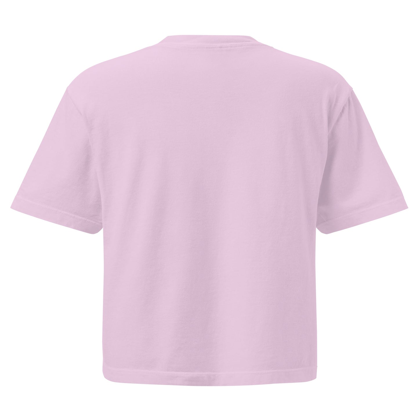 Spike & Surf Co. Women’s Heavyweight Embroidered Boxy Tee - Orchid