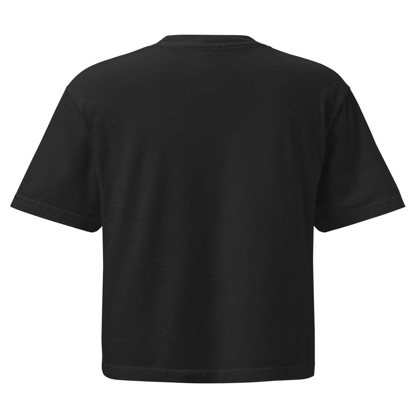 Spike & Surf Co. Women’s Heavyweight Embroidered Boxy Tee - Black